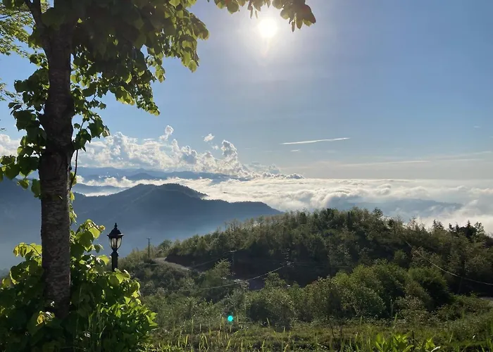 Zarha Mountain Resort Surmene photo